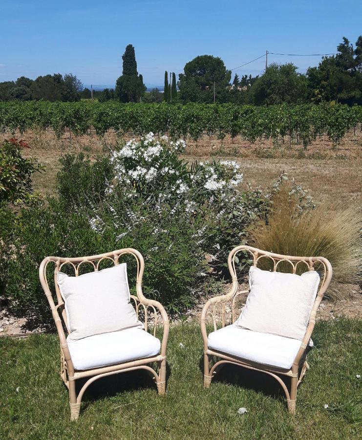 Le Cottage Du Chat Blanc Saint Didier  Экстерьер фото