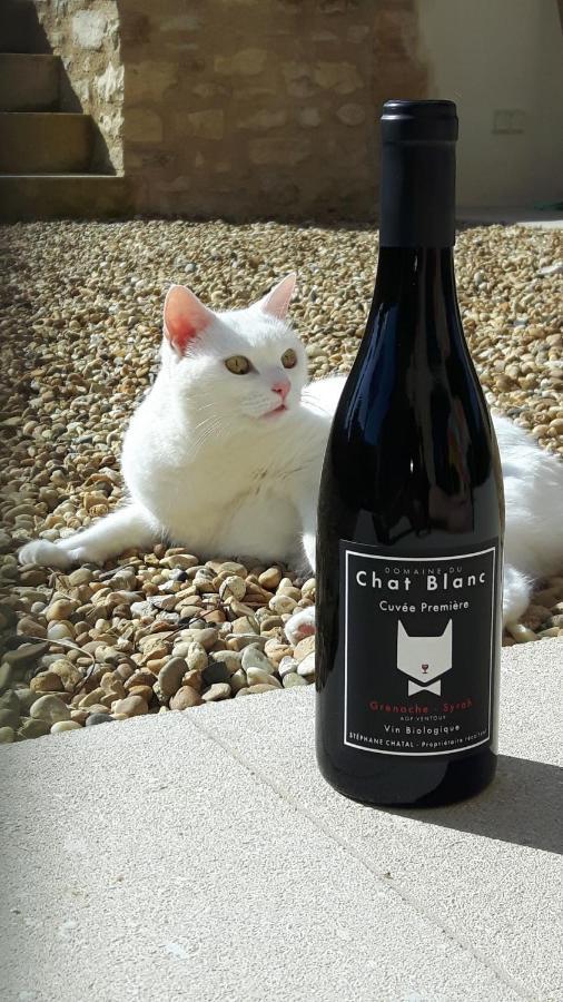 Le Cottage Du Chat Blanc Saint Didier  Экстерьер фото